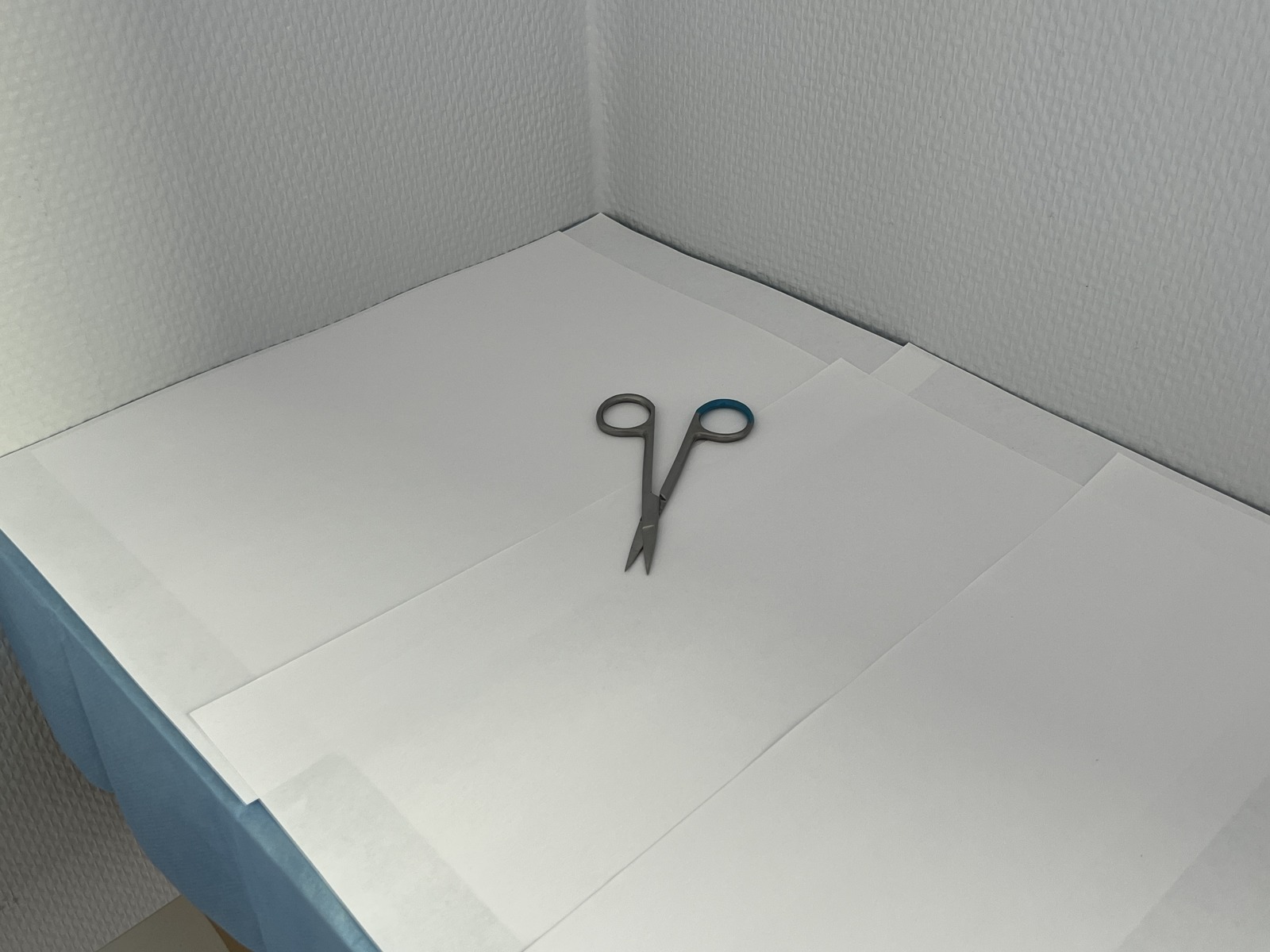 Surgical shears photographed from an oblique white-background view
